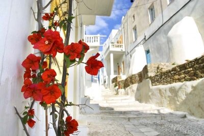 Фотообои прогулка по греческим улочкам