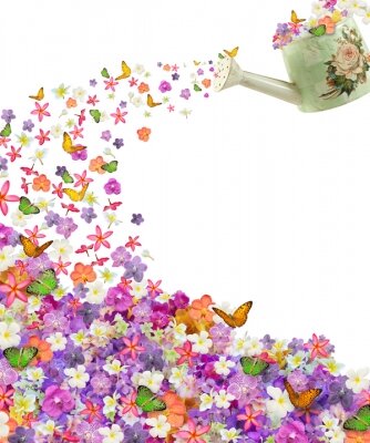 Арт фотообои Лейка с цветами и бабочками