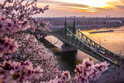 Фотообои Весна в Будапеште