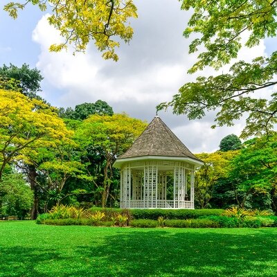 Ботанический сад Сингапура